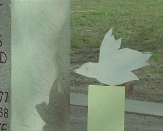 《中间世界》电影封面