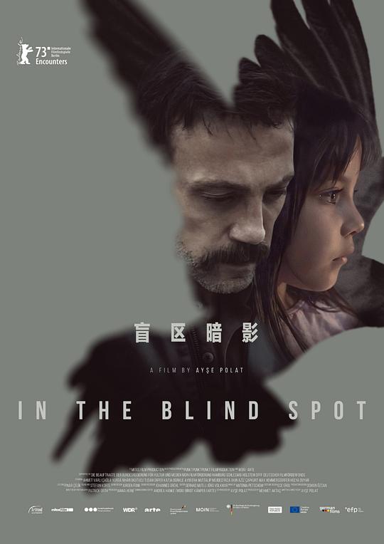 《盲区暗影》电影封面