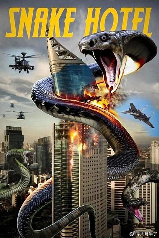 《巨蟒酒店》电影封面