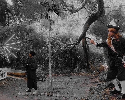 《歷史的例外狀態》电影封面