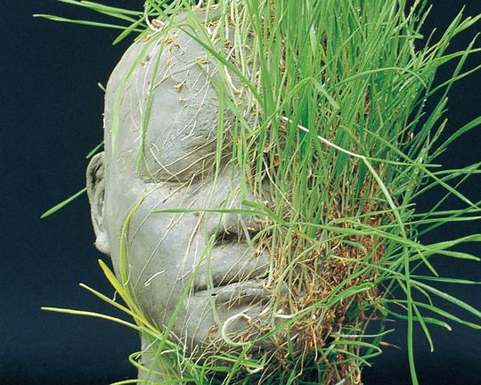 《草生》电影封面