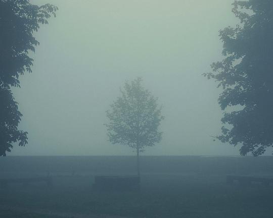 《چشمهای بیدار پدر مرده》纪录片封面