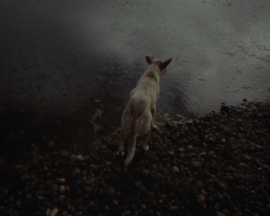 《远去的影像》纪录片封面