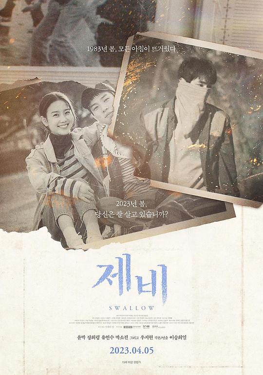 《燕子》电影封面