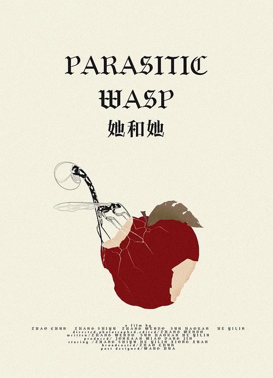 《她和她》电影封面