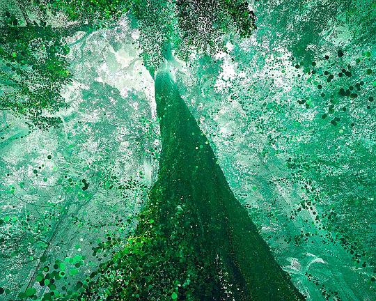 《巨人》纪录片封面