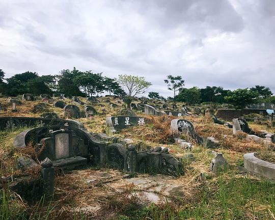 《Afterlife》电影封面