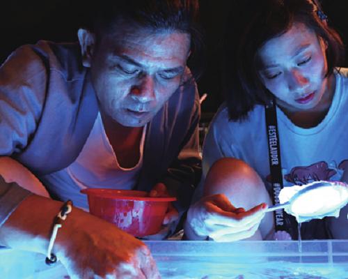 《大馬哈魚》电影封面