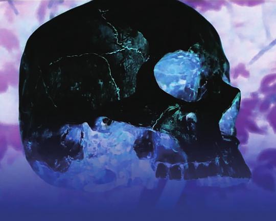 《食人之地》电影封面