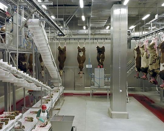 《Wir und das tier - Ein schlachthausmelodram》电影封面