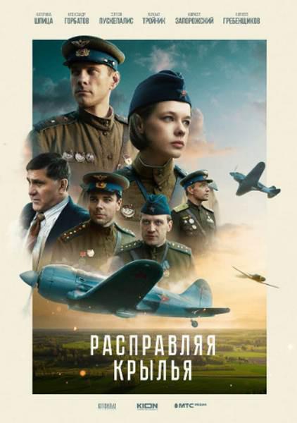 《展开翅膀》电影封面