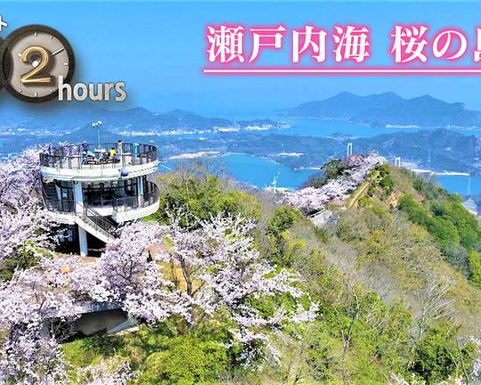 《ドキュメント72時間：瀬戸内海 桜の島で》电影封面