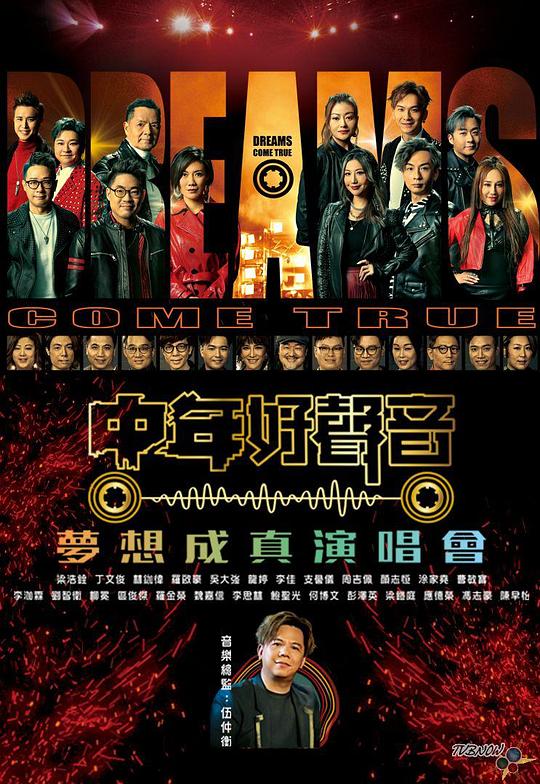 《中年好声音梦想成真演唱会》演唱会封面