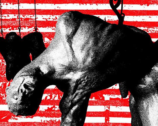 《沼泽之主》动画封面