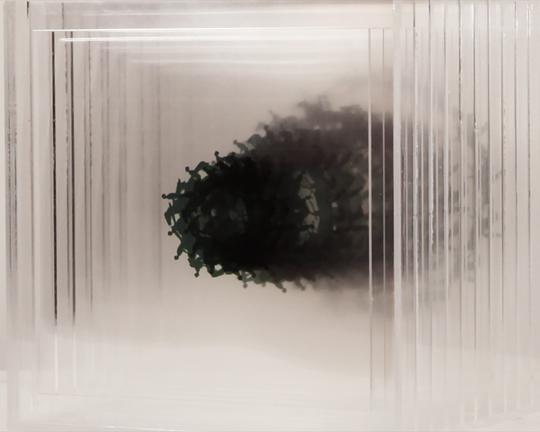 《그림자의 방》动画封面