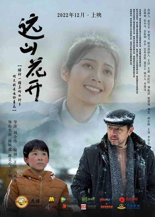 《远山花开》电影封面