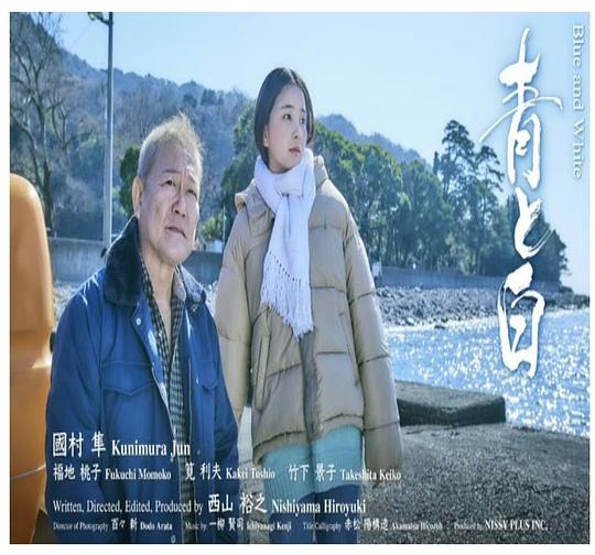 《蓝与白》电影封面