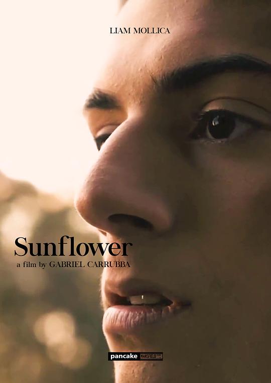 《向日葵》电影封面