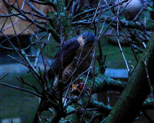 《低感光度》纪录片封面