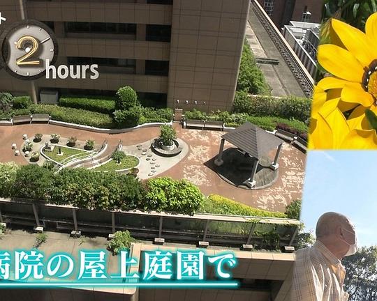 《ドキュメント72時間：大病院の屋上庭園で》电影封面