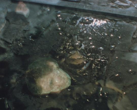 《Faces of Death》电影封面