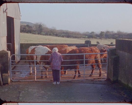 《How I Became a Communist》电影封面