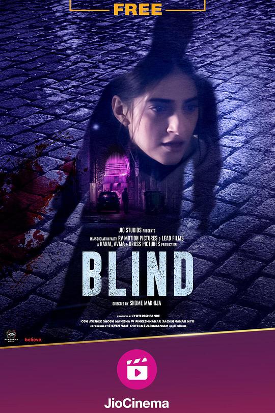 《盲证》电影封面