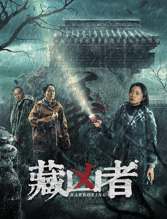 《藏凶者》电影封面