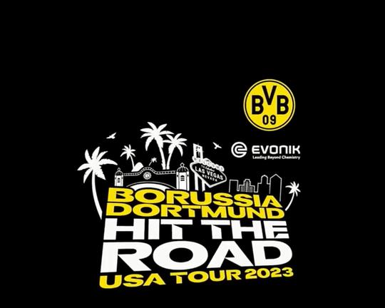 《多特蒙德美国行纪录片》纪录片封面