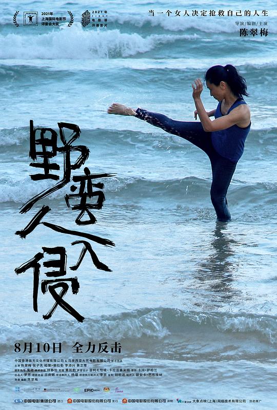 《野蛮人入侵》电影封面