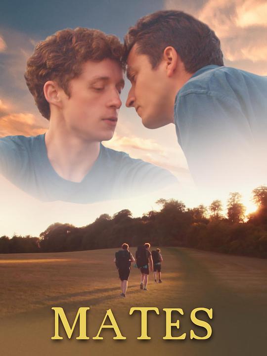 《哥们儿》电影封面