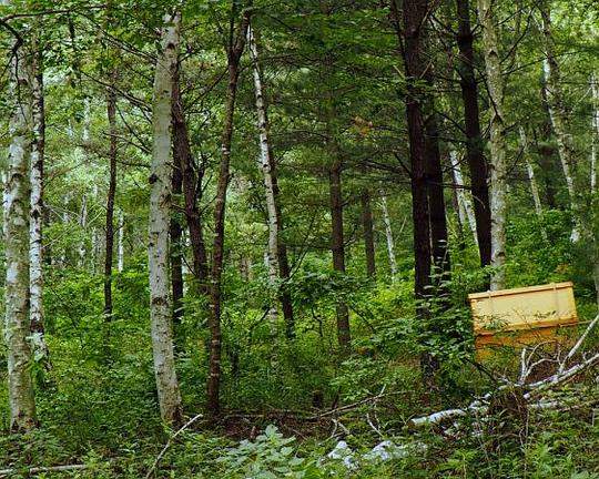 《밝은 소리 A》纪录片封面