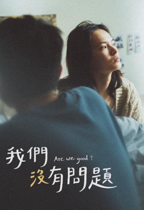 《我们没有问题》电影封面