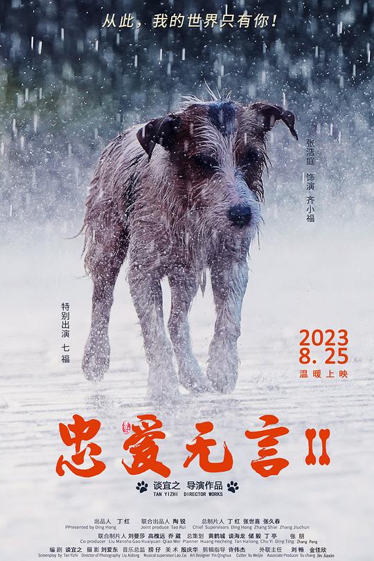 《忠爱无言2》电影封面