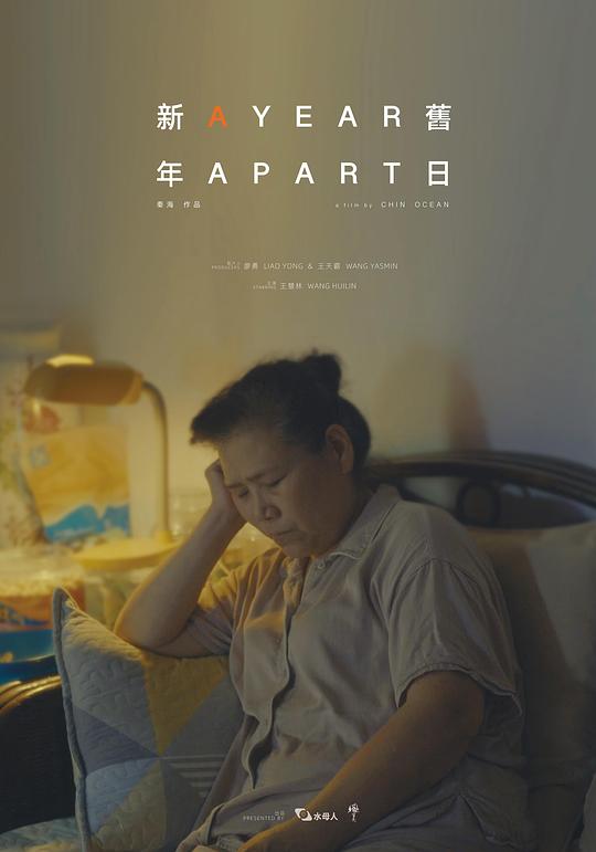 《新年旧日》电影封面