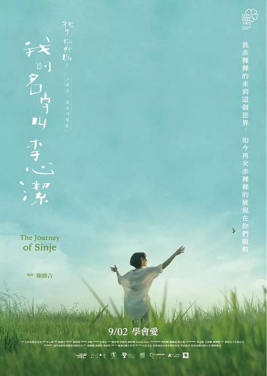 《我的名字叫李心洁》电影封面