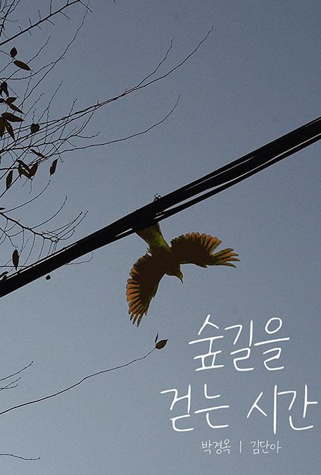 《숲길을 걷는 시간》纪录片封面