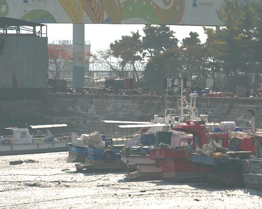 《十井》电影封面