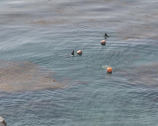 《전환의 바다》纪录片封面