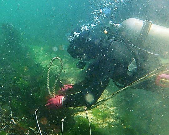 《푸른 바다의 비밀》纪录片封面