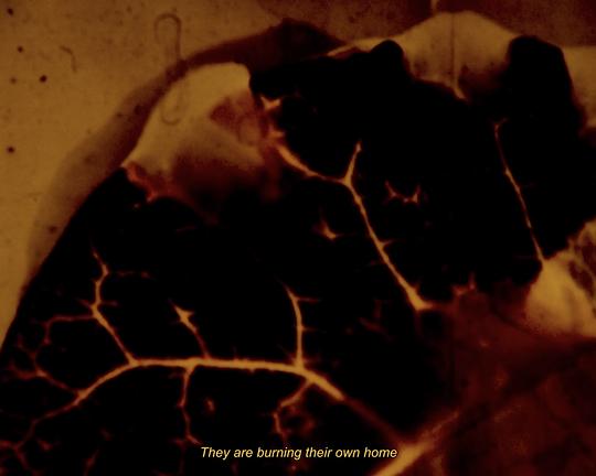 《Amma Ki Katha》电影封面