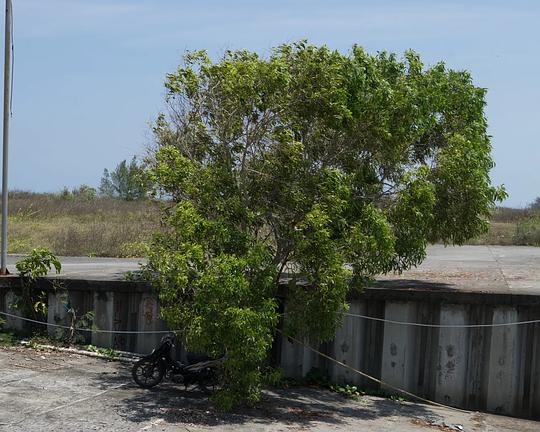 《Periphery of the Wind》纪录片封面