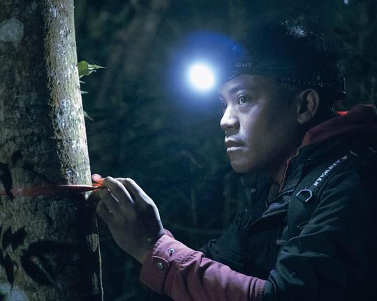 《攫木》电影封面