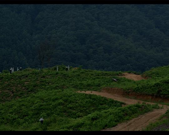 《去年夏天》电影封面