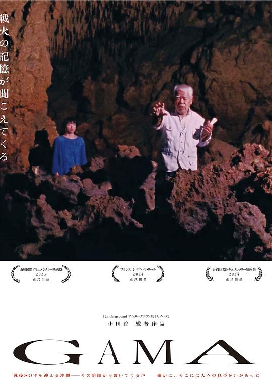 《伽马洞》纪录片封面