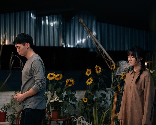 《花台》电影封面