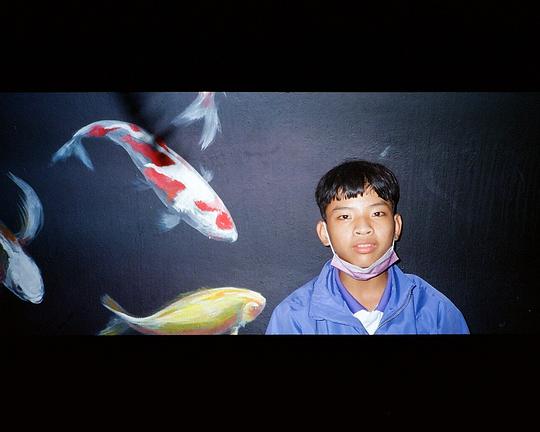 《睿的鹿世界》电影封面