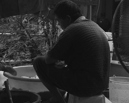 《蟲子從土裡鑽出來就變成人》电影封面