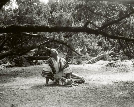 《變史術 - 花園紀事》电影封面