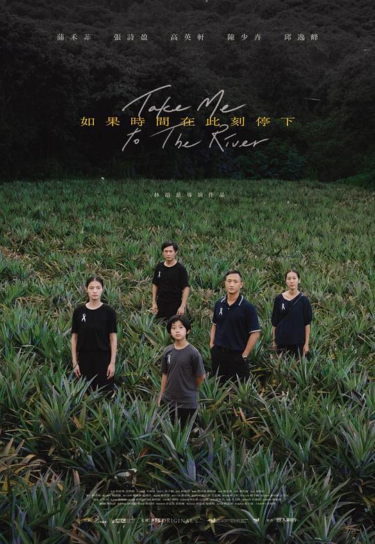 《如果時間在此刻停下》电影封面